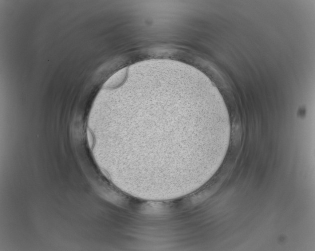 X0000116770381201001281638