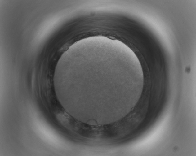 X0000116770382201001281638