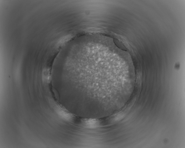 X0000116770383201001281638