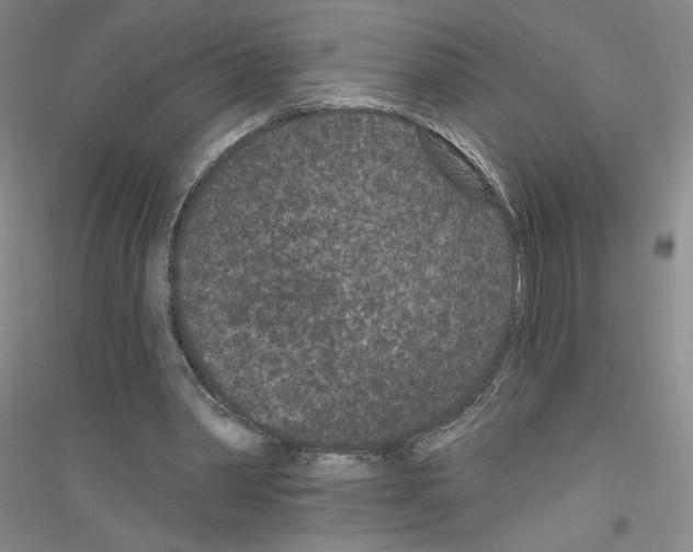 X0000116770390201001281637