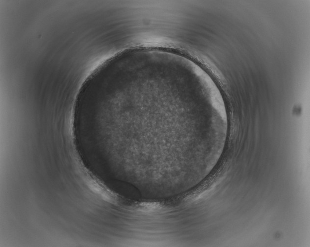 X0000116770391201001281637