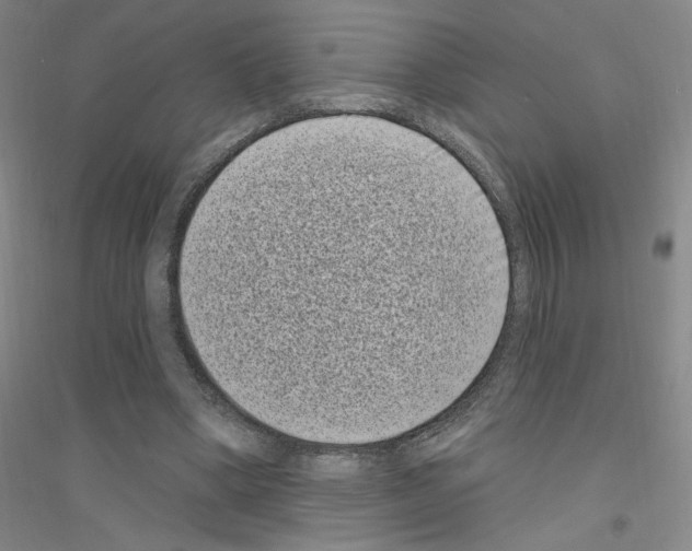 X0000116770394201001281637