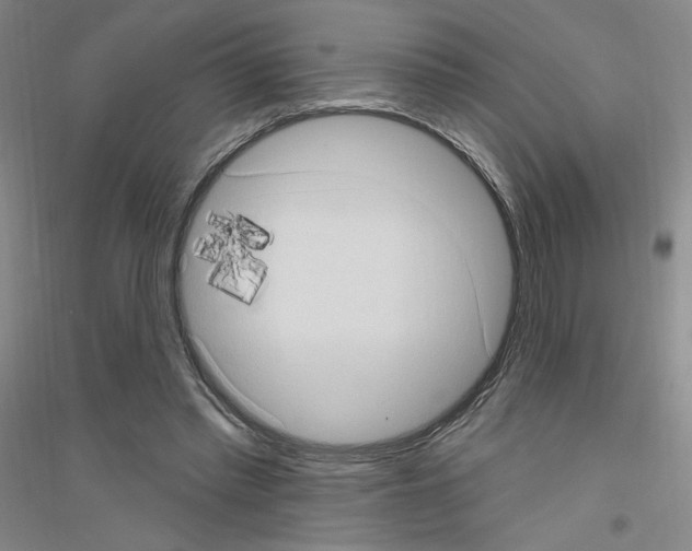 X0000116770397201001281637