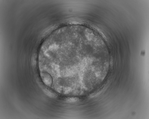 X0000116770402201001281637