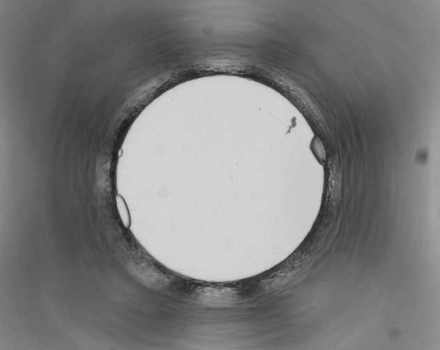 X0000116770403201001281637