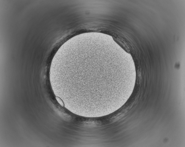 X0000116770404201001281637