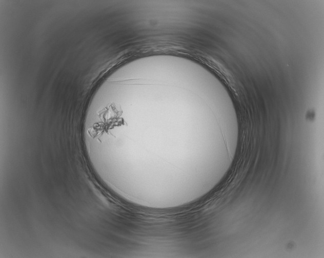X0000116770405201001281637