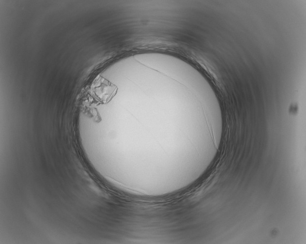 X0000116770407201001281637