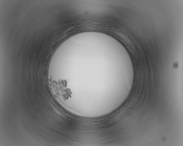 X0000116770409201001281637