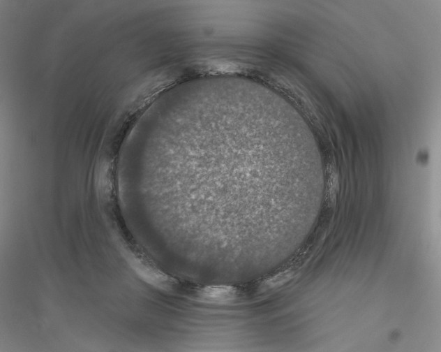 X0000116770410201001281637