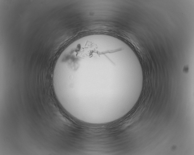 X0000116770411201001281637