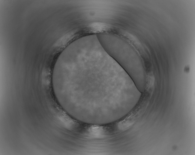 X0000116770413201001281637