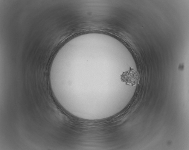 X0000116770415201001281637