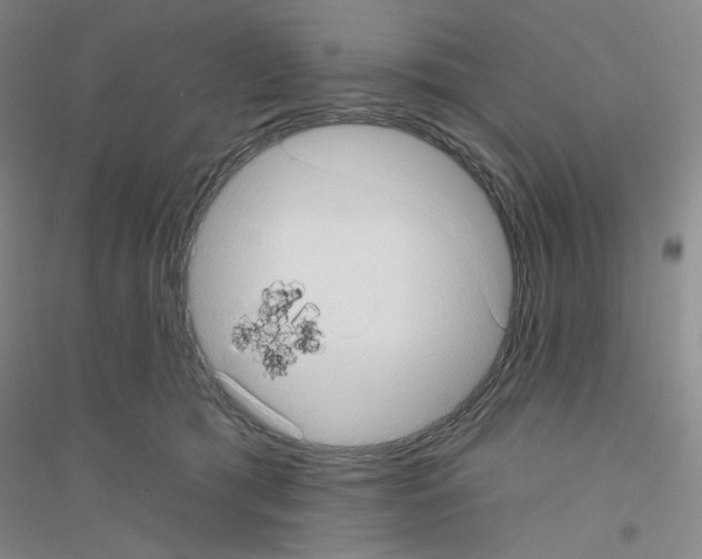 X0000116770417201001281637