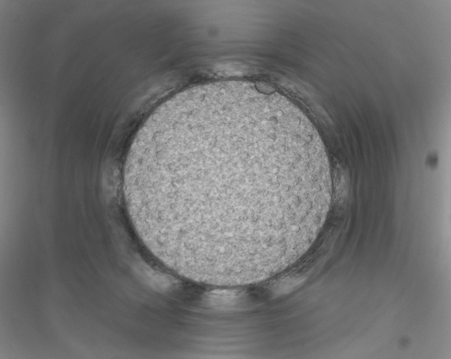 X0000116770418201001281637