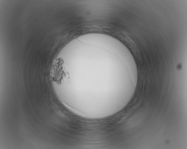 X0000116770419201001281637