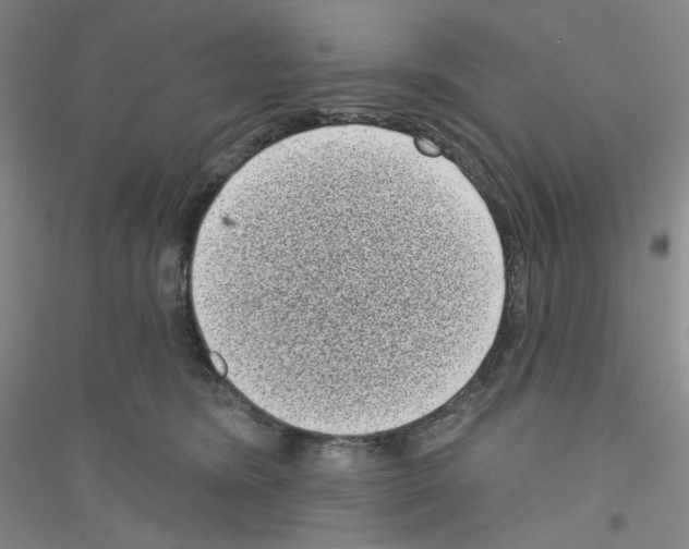 X0000116770420201001281637