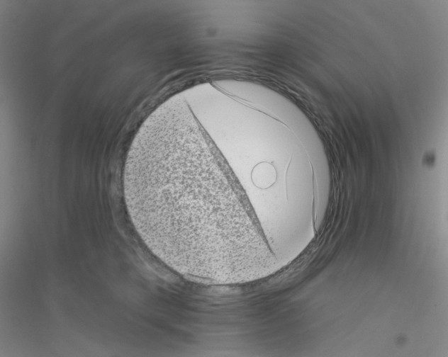 X0000116770421201001281637