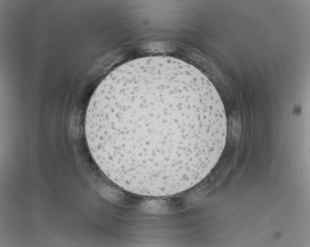 X0000116770422201001281637