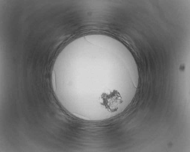 X0000116770423201001281637