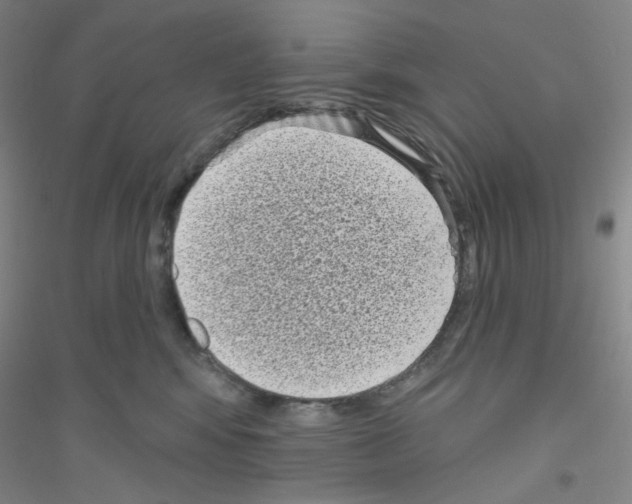 X0000116770424201001281637