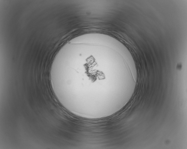 X0000116770425201001281637