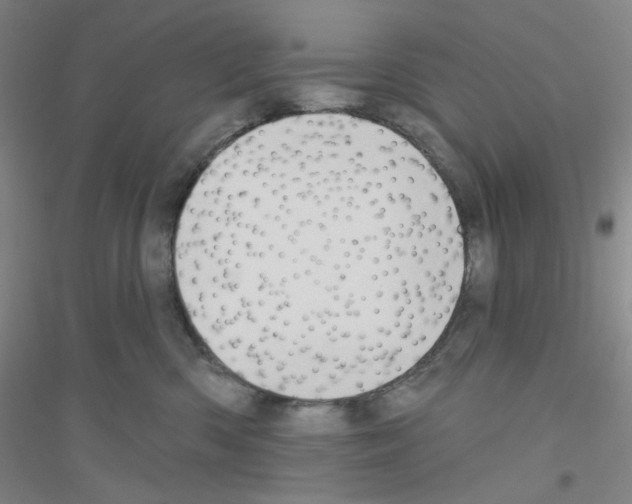 X0000116770426201001281637