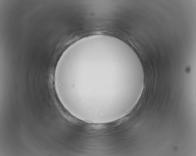 X0000116770427201001281637
