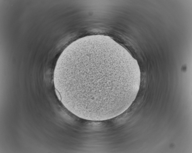 X0000116770428201001281637