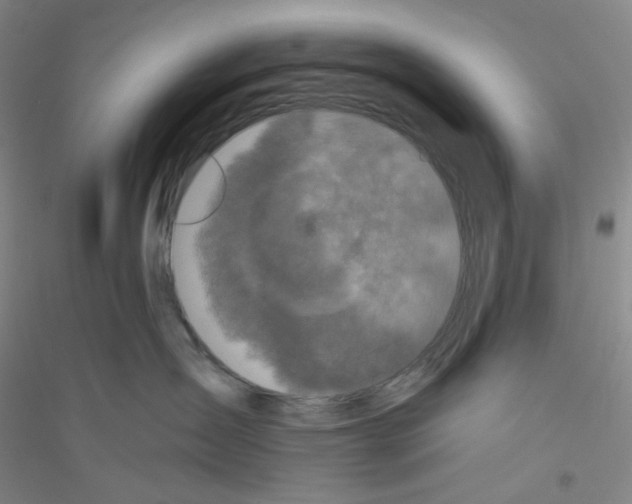 X0000116770431201001281637