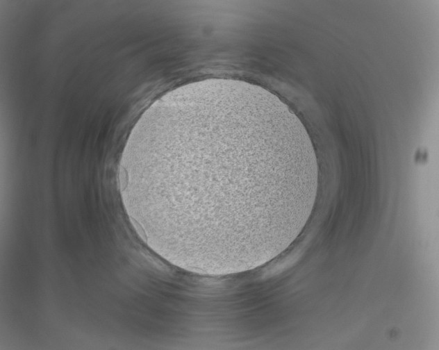 X0000116770432201001281636