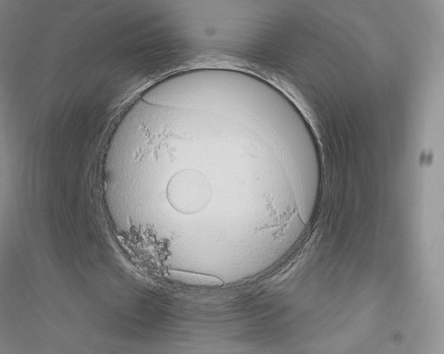 X0000116770433201001281636
