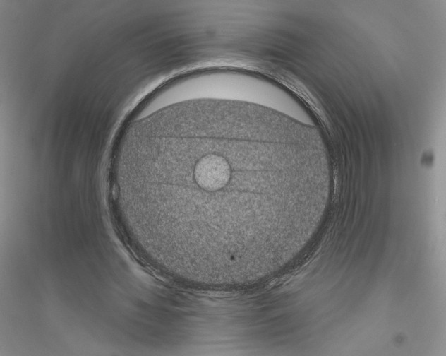 X0000116770436201001281636