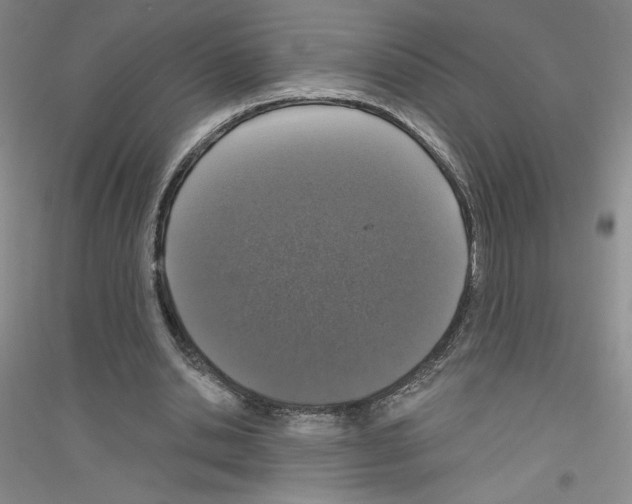 X0000116770438201001281636