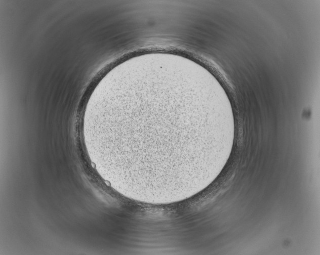 X0000116770439201001281636