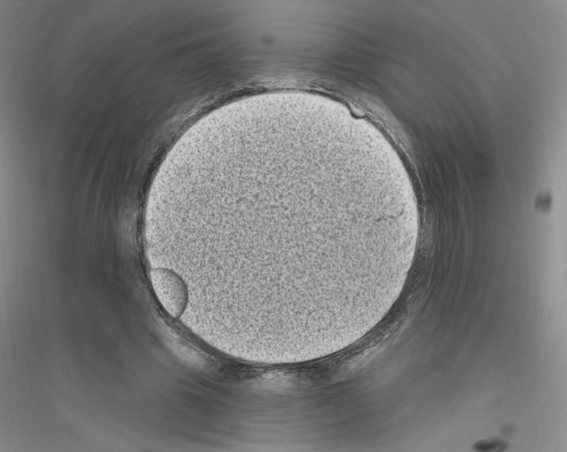 X0000116770441201001281636
