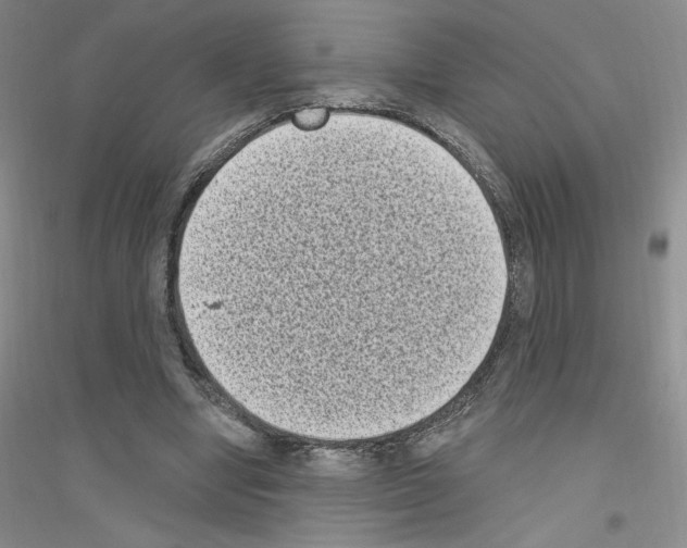 X0000116770442201001281636