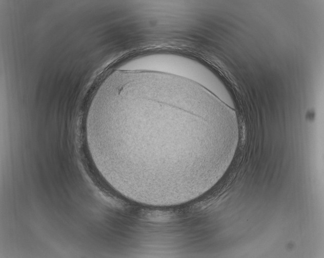 X0000116770444201001281636