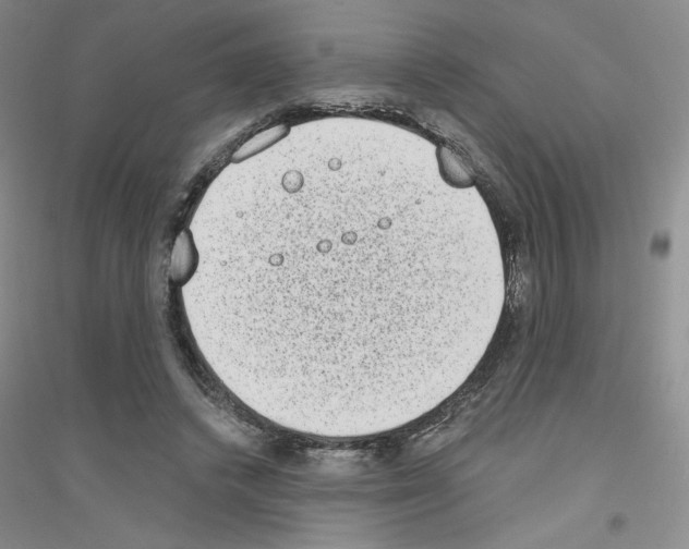 X0000116770448201001281636
