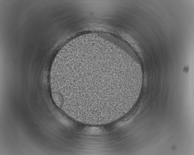 X0000116770449201001281636