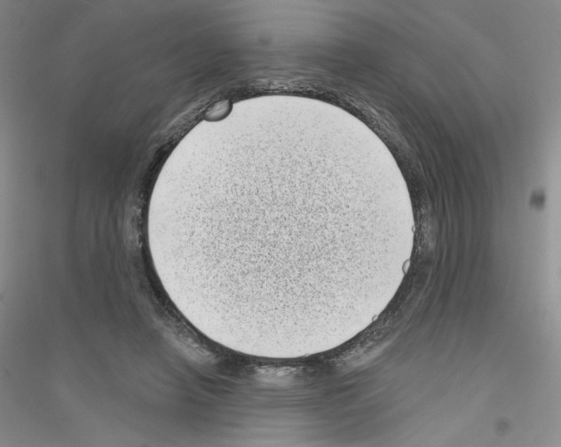 X0000116770450201001281636