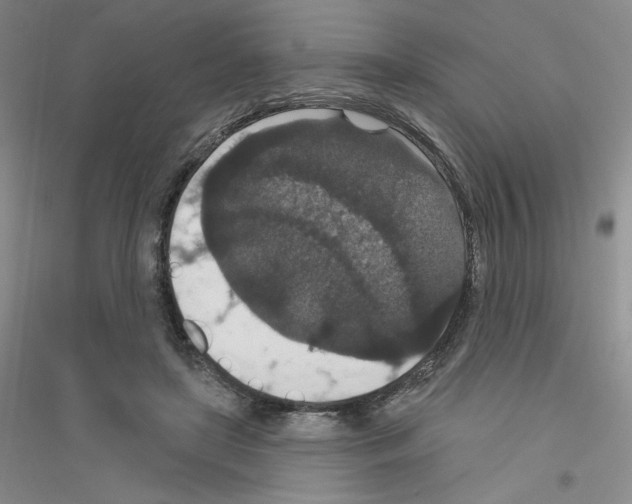 X0000116770451201001281636