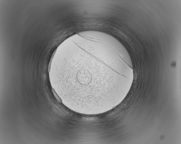 X0000116770452201001281636