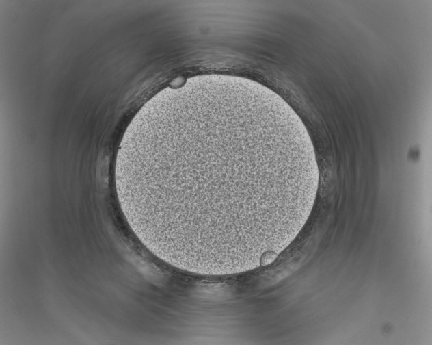 X0000116770454201001281636