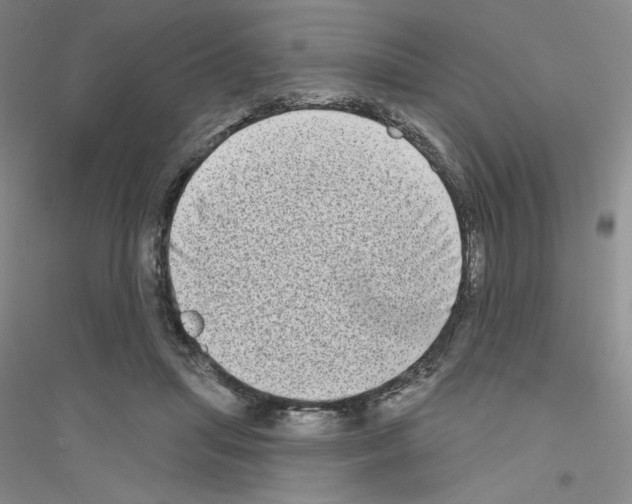 X0000116770455201001281636