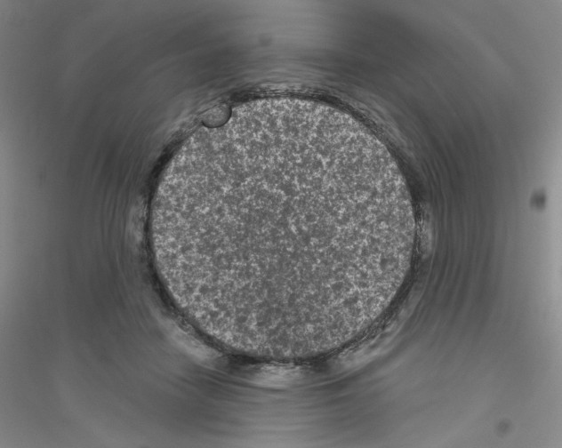 X0000116770458201001281636