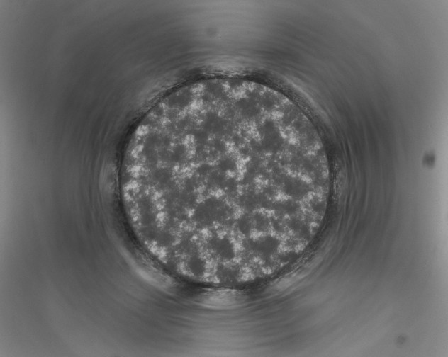 X0000116770459201001281636