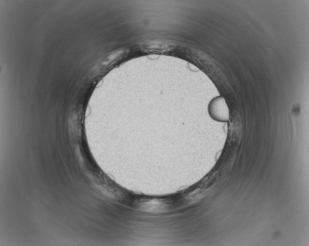 X0000116770460201001281636