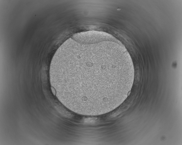 X0000116770461201001281636