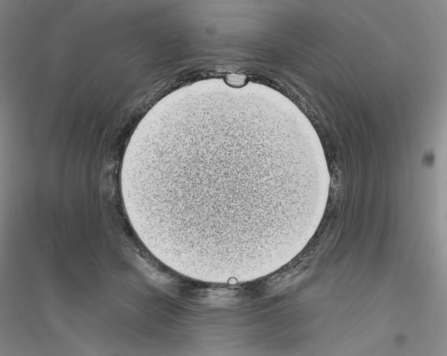 X0000116770462201001281636